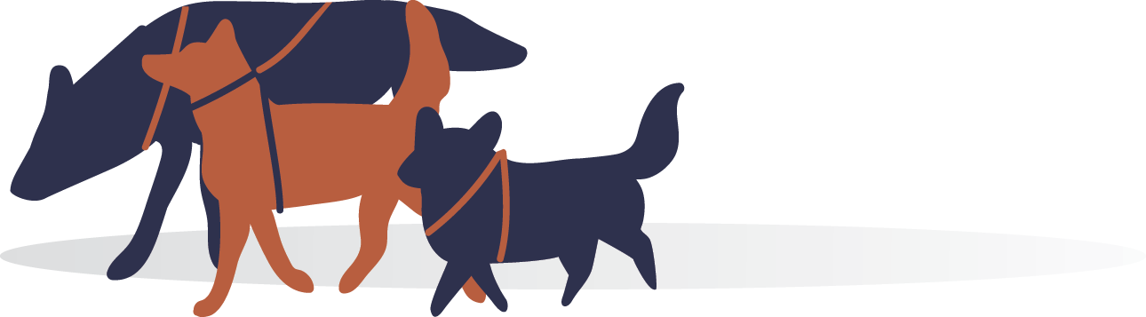 EWP_Dog_14